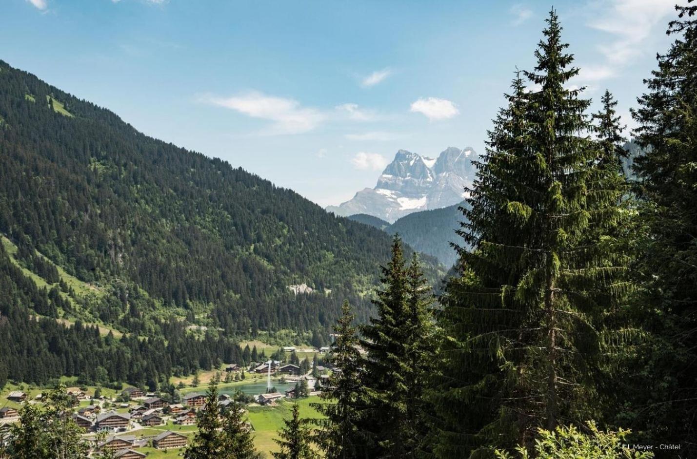 Toison Blanche Tba3 Cosy & Mountain 4 Pers Apartment Chatel Luaran gambar